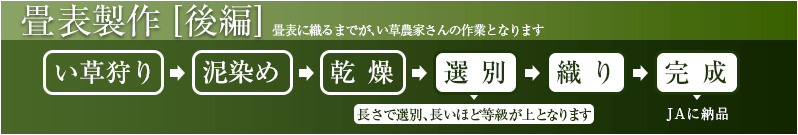 畳表製作（畳表に織るまでが、い草農家さんの作業となります）い草刈り→泥染め→乾燥→選別（長さで選別、長いほど等級が上となります）→織り→完成（JAへ納品）