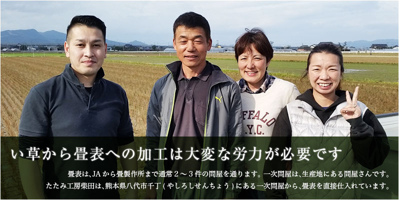 い草から畳表への加工は大変な労力が必要です。畳表は、JAから畳製作所まで通常2～3件の問屋を通ります。一次問屋は、生産地にある問屋さんです。
たたみ工房柴田は、熊本県八代市千丁(やしろしせんちょう)にある一次問屋から、畳表を直接仕入れています。 