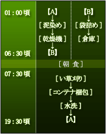 1日のスケジュール、い草刈り→コンテナ梱包→水洗→泥染め→乾燥機→袋詰め→倉庫