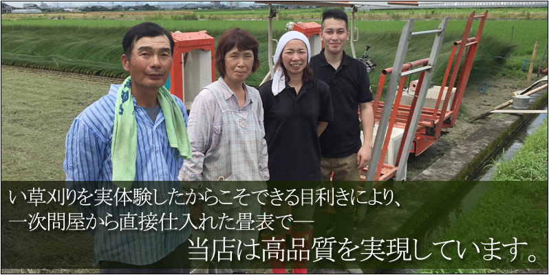 い草刈りを実体験したからこそできる目利きにより、一次問屋から直接仕入れた畳表で、当店は高品質を実現しています。